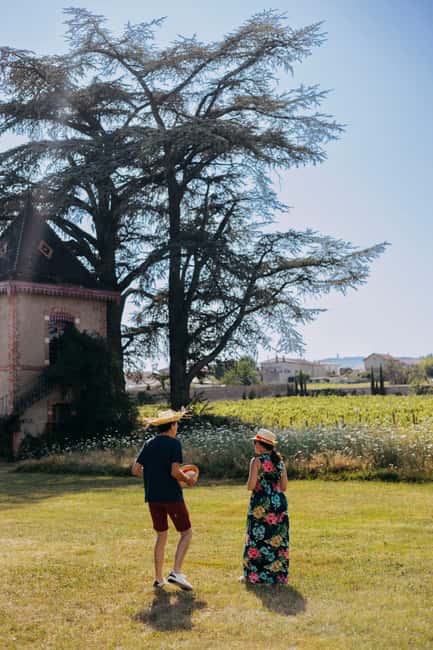 From Lyon: Beaujolais Wine Route Half-Day Tour - What $113 buys you