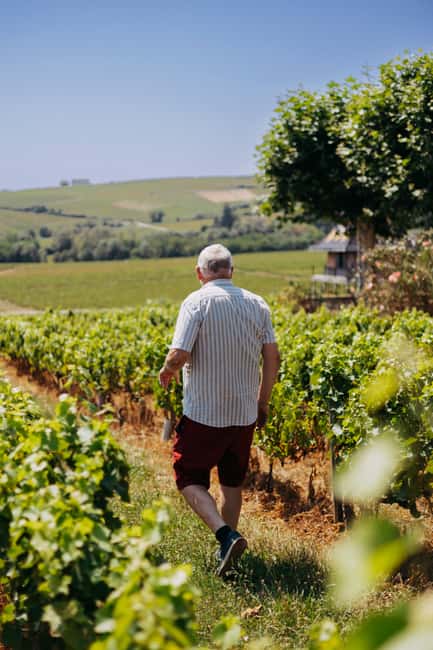 From Lyon: Beaujolais Wine Route Half-Day Tour - Who will enjoy this half-day outing?