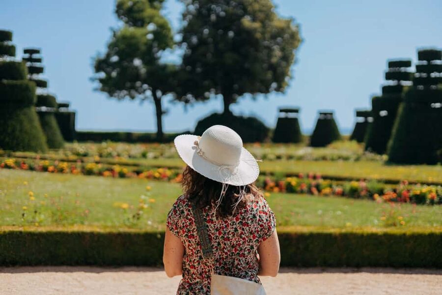 From Lyon: Beaujolais Wine Route Half-Day Tour - Should you book the Beaujolais Wine Route tour?