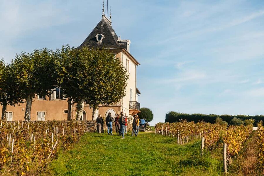From Lyon: Beaujolais Wine Tour with Tastings - Leaving Lyon for the Beaujolais hills
