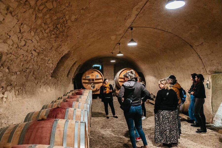 From Lyon: Beaujolais Wine Tour with Tastings - Two wineries, two views of winemaking