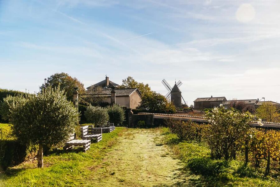 From Lyon: Beaujolais Wine Tour with Tastings - Understanding Gamay one glass at a time