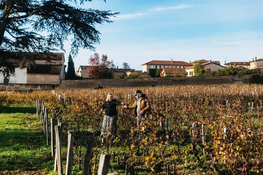 From Lyon: Beaujolais Wine Tour with Tastings - Is $113 a fair price?