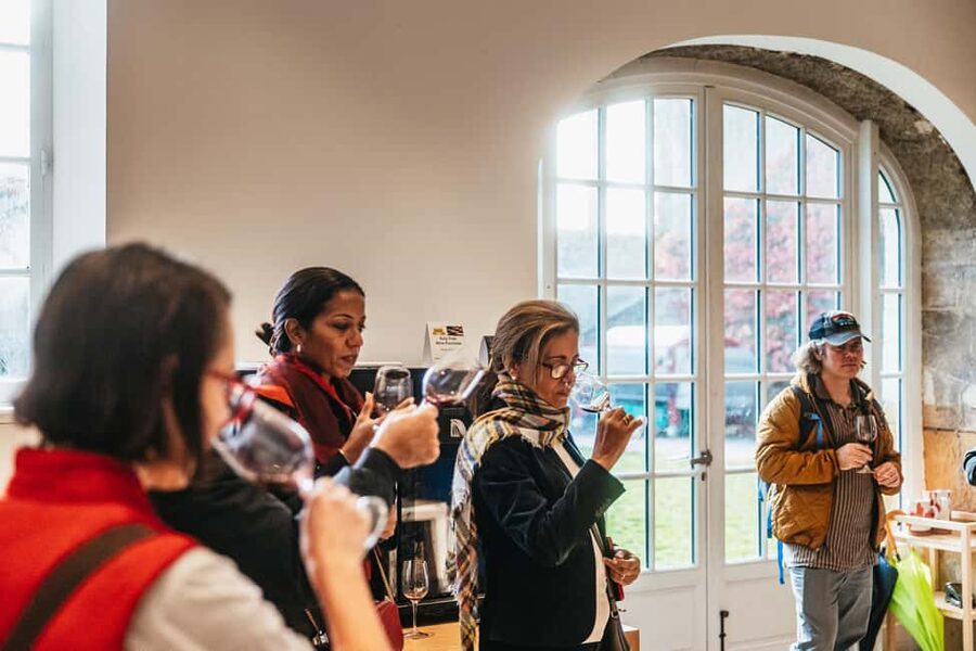 From Lyon: Beaujolais Wine Tour with Tastings - Comfort, access, and timing