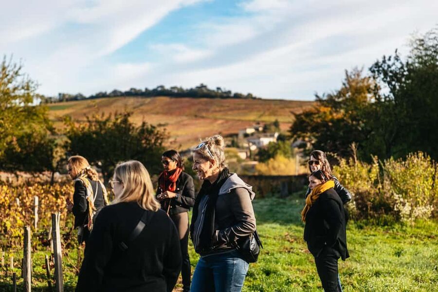 From Lyon: Beaujolais Wine Tour with Tastings - Who will enjoy this Beaujolais outing?