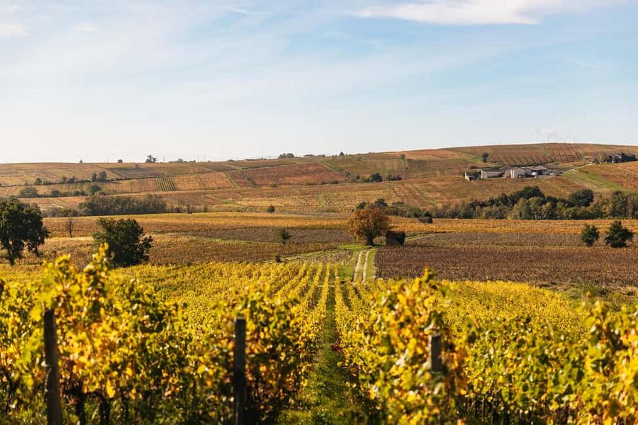 From Lyon: Beaujolais Wine Tour with Tastings - The Wine Route and its famous villages