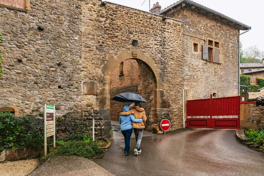 From Lyon: Golden Stones Beaujolais Wine Tasting Tour - Price, group size, and practical value