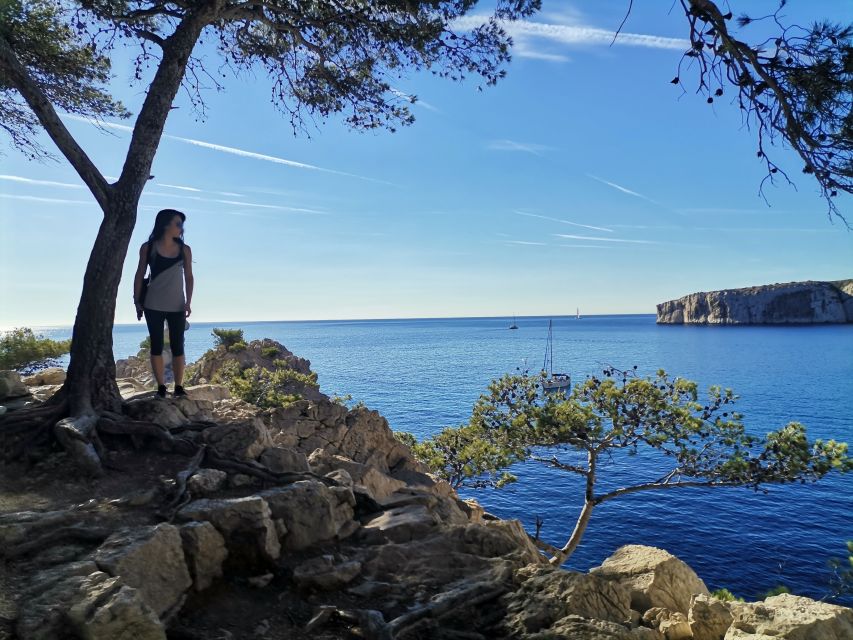 From Marseille: Calanques National Park Guided Hike - Pine trees, rosemary, and the first viewpoints