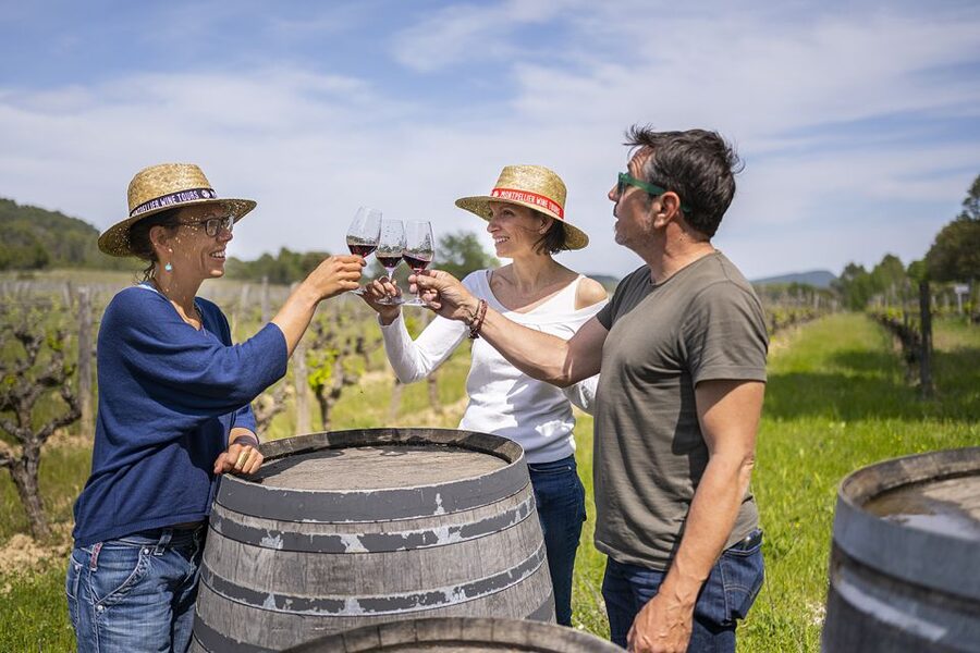 From Montpellier: Half-Day Vineyard & Pic Saint-Loup Tour - Key points at a glance