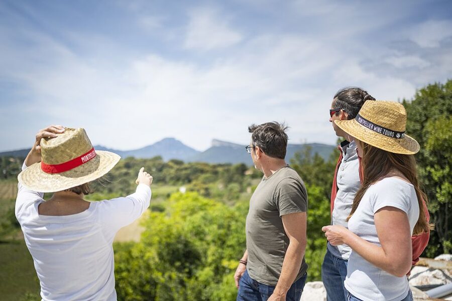 From Montpellier: Half-Day Vineyard & Pic Saint-Loup Tour - Practical details worth knowing before you go
