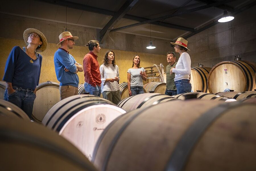 From Montpellier: Half-Day Vineyard & Pic Saint-Loup Tour - What the wine tasting is really like