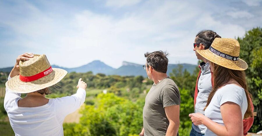 From Montpellier: Half-Day Vineyard & Pic Saint-Loup Tour - Is $93 a good value?