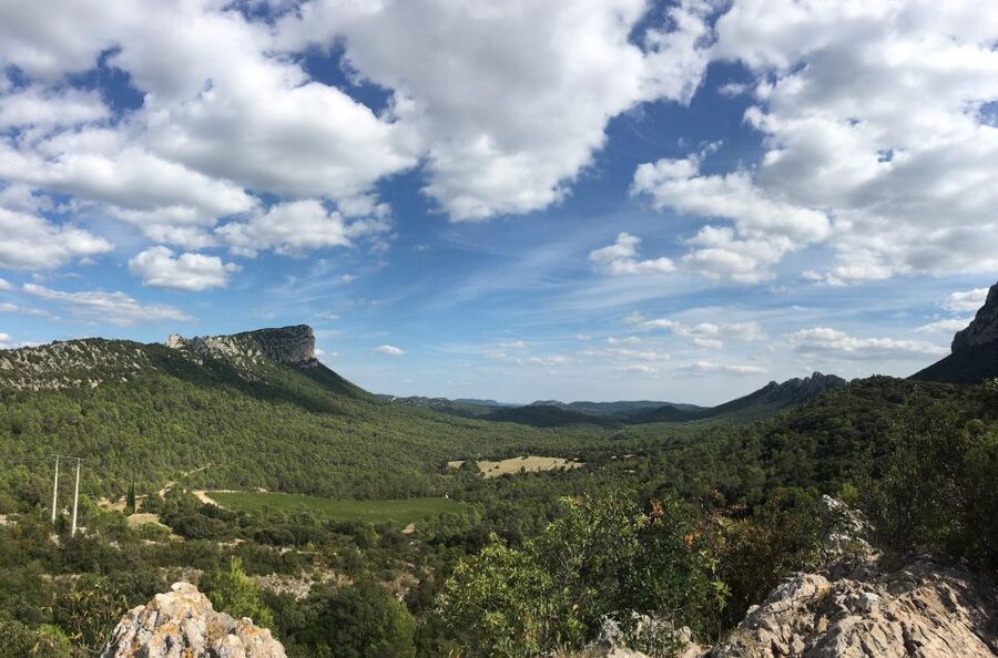 From Montpellier: Half-Day Vineyard & Pic Saint-Loup Tour - Who should book this Pic Saint-Loup outing?