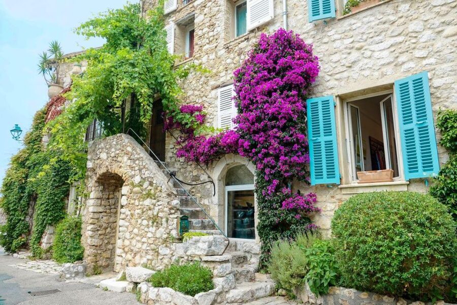 From Nice: Cannes, Antibes & St Paul de Vence Half-Day Tour - Should you book the Cannes, Antibes, and St Paul de Vence tour?