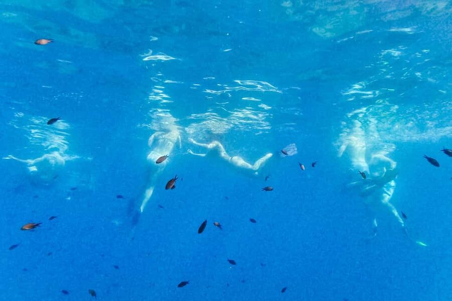 From Nice: French Riviera Swimming and Snorkeling Cruise - Booking and Timing Tips for Nice