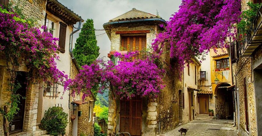 From Nice: Provence and its Medieval Villages Full-Day Tour - Why this day trip works from Nice
