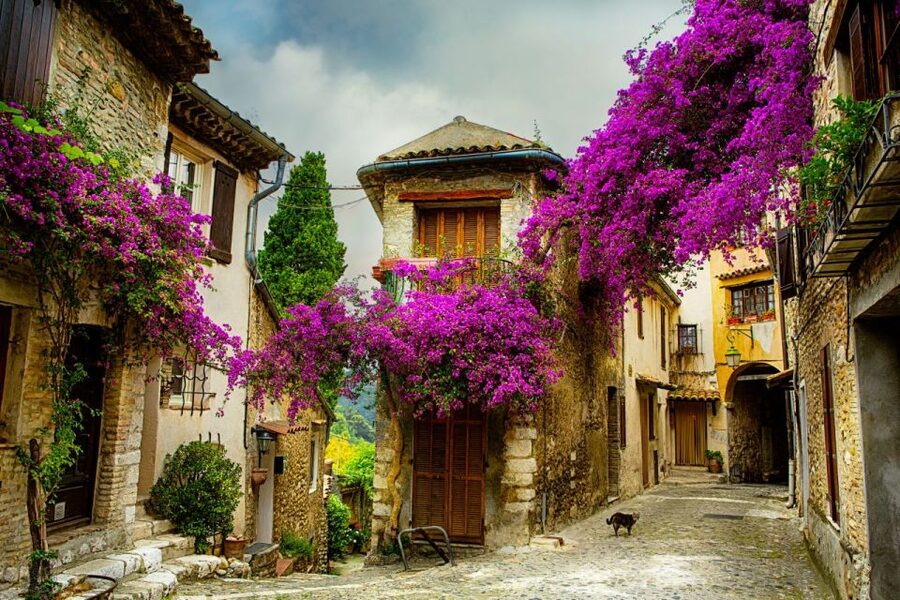 From Nice: Provence and its Medieval Villages Full-Day Tour - Grasse and the Fragonard perfume visit