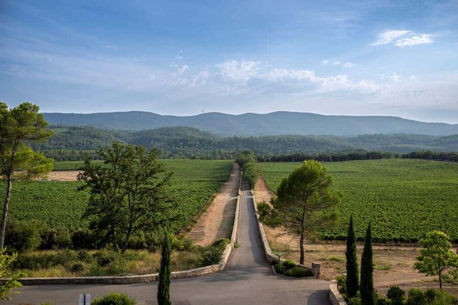 From Nice: Provence Wine Full-Day Tour - Price, lunch, and the real value