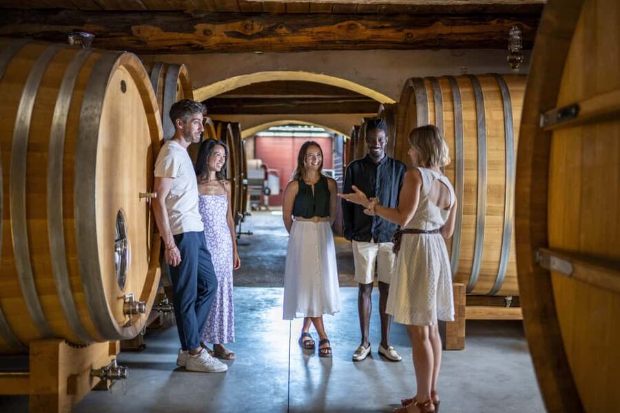 From Nice: Provence Wine Full-Day Tour - Why this Nice wine tour is worth a full day