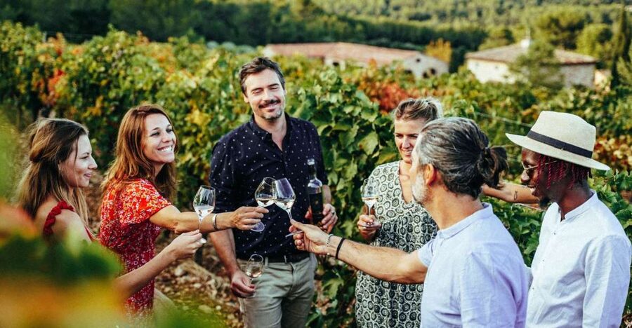 From Nice: Provence Wine Full-Day Tour - Learning that Provence means more than rosé