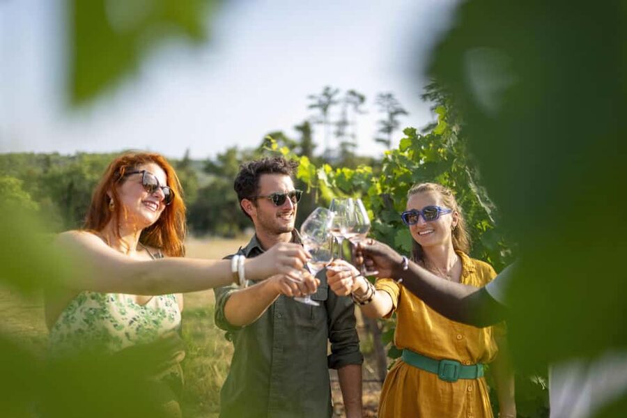 From Nice: Provence Wine Full-Day Tour - The medieval village lunch stop, budget extra time and money
