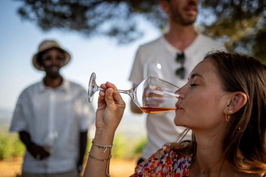 From Nice: Provence Wine Full-Day Tour - The guide makes or breaks the day