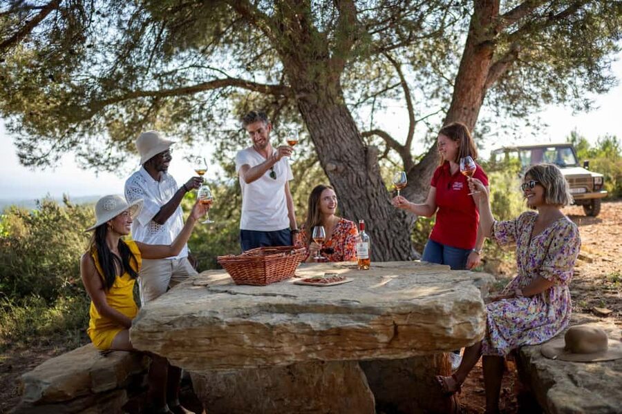 From Nice: Provence Wine Full-Day Tour - The 9:30 AM departure from central Nice