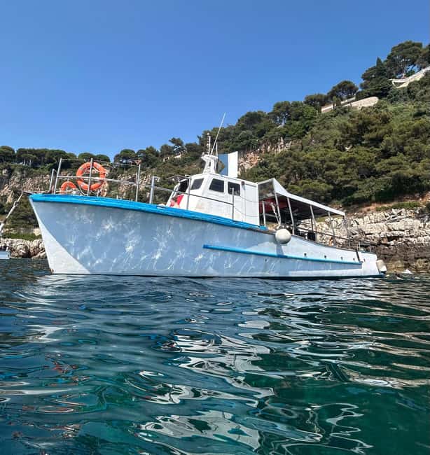 From Nice: Villefranche Bay Swimming & Snorkeling Boat Tour - What the Snorkeling Is Really Like