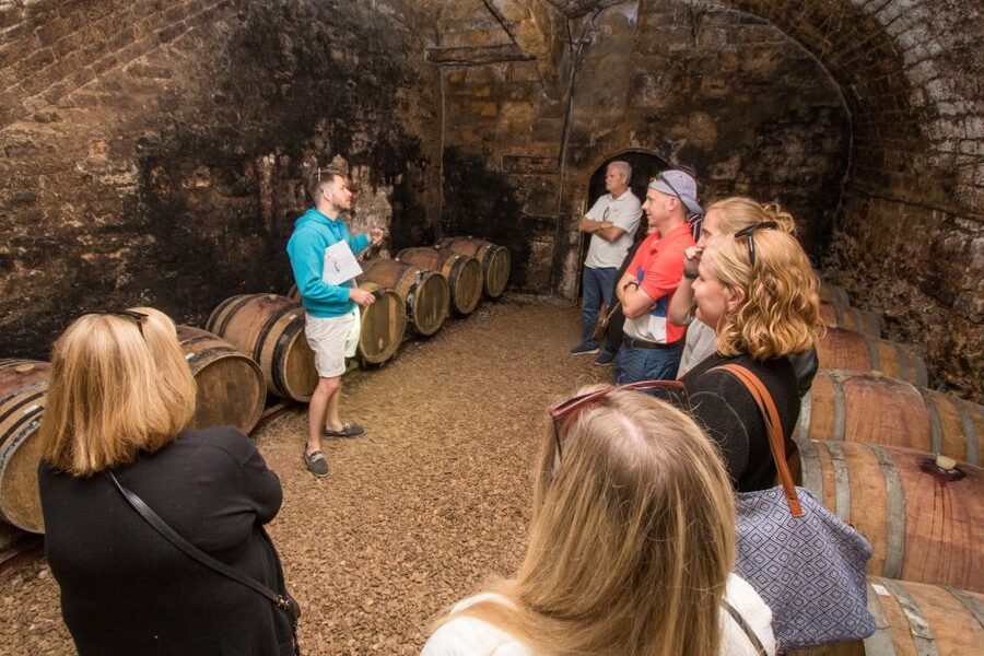 From Paris: Burgundy Region Winery Tour with Tastings - Why this Burgundy tour works from Paris