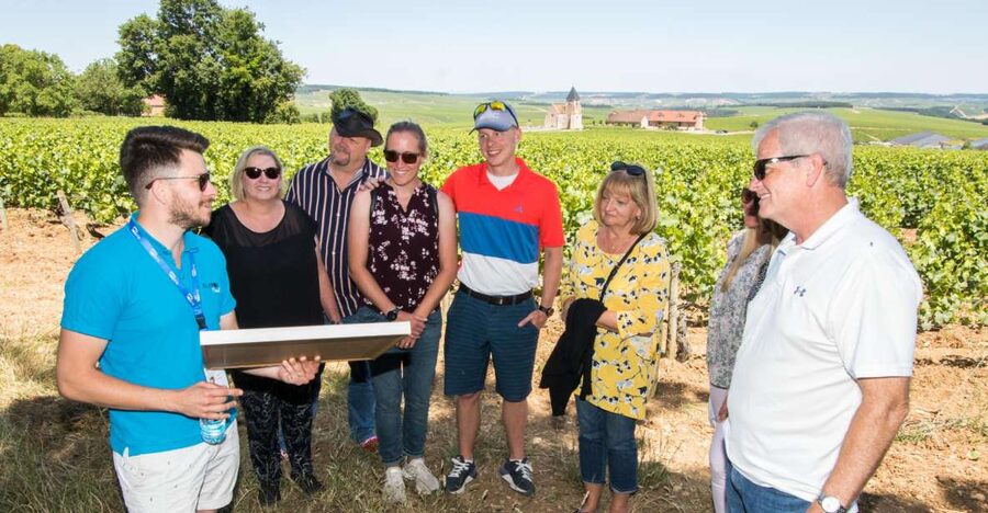 From Paris: Burgundy Region Winery Tour with Tastings - Lunch and free time in Chablis