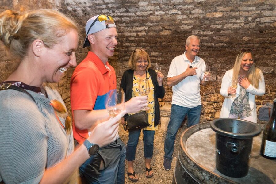 From Paris: Burgundy Region Winery Tour with Tastings - Who will enjoy this experience most