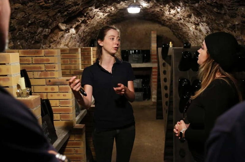 From Paris: Champagne Day Trip with 7 Tastings and Lunch - Why the two-producer format works so well