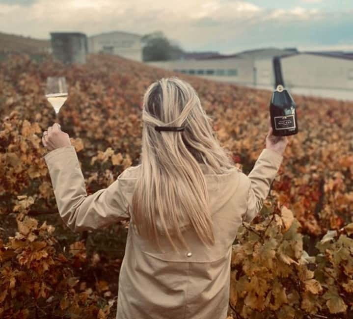 From Paris: Champagne Day Trip with 7 Tastings and Lunch - Épernay, Avenue de Champagne, and lunch