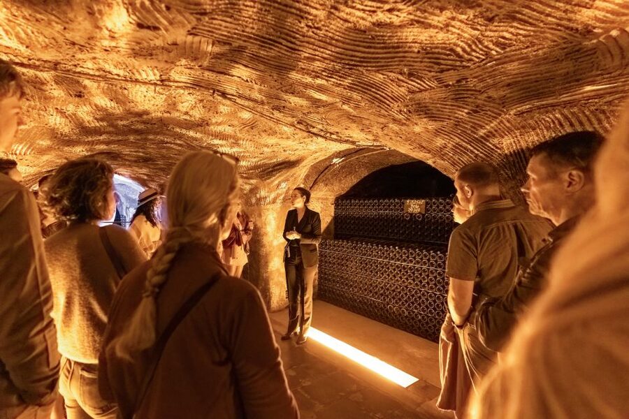 From Paris: Day Trip to Champagne with 8 Tastings & Lunch - Eight tastings, without losing the lesson