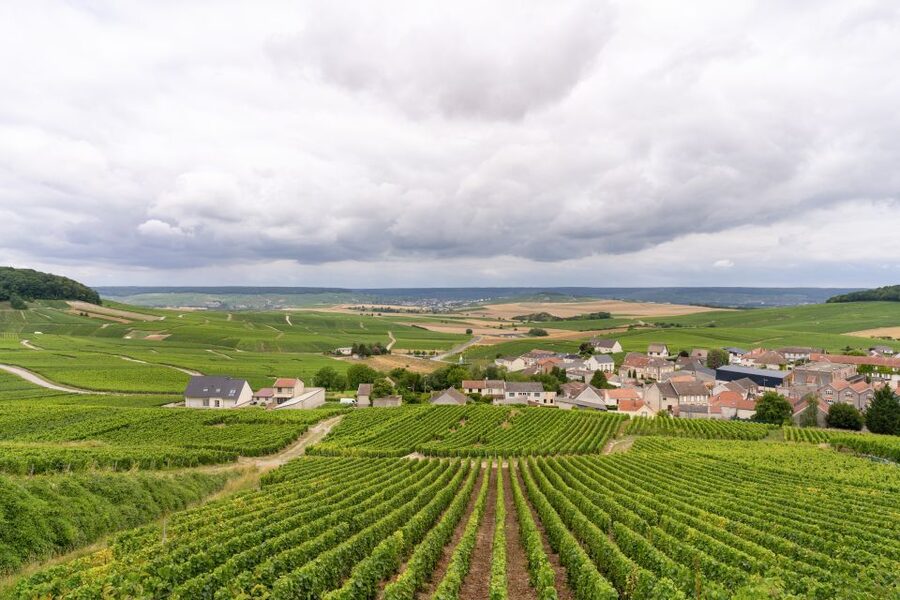 From Paris: Day Trip to Champagne with 8 Tastings & Lunch - Choosing shared or private travel