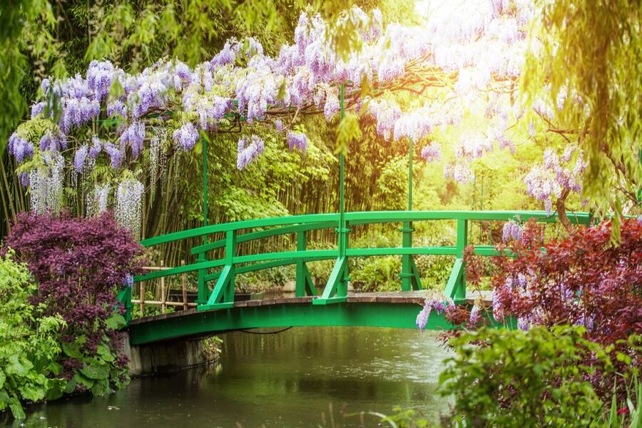 From Paris: Giverny and Versailles Palace Guided Day Trip - Who will get the most from this day trip?