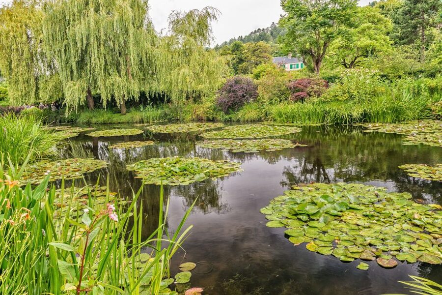 From Paris: Guided Day Trip to Monet's Garden in Giverny - Walking the Flower Garden