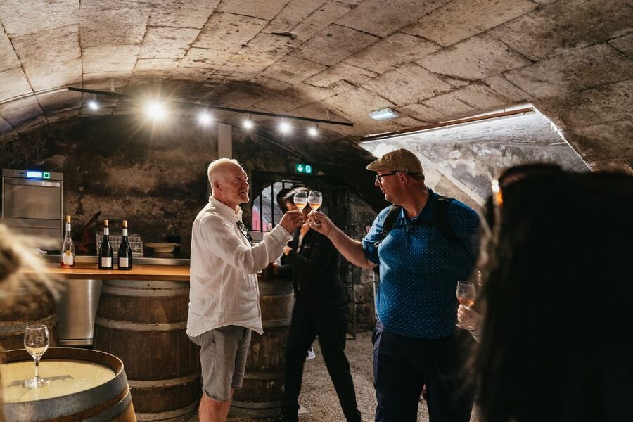 From Paris: Loire Valley Castles Day Trip With Wine Tasting - Chenonceau: the elegant favorite