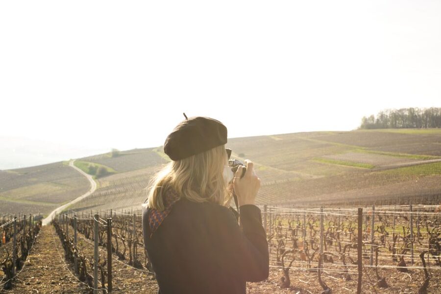 From Paris: Reims and Champagne Tasting Full-Day Tour - The vineyard stop and blind tasting
