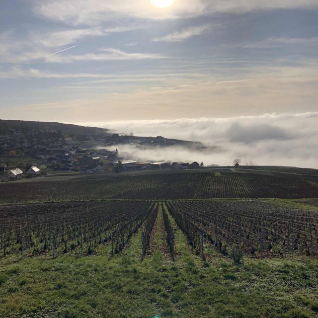 From Paris: Reims and Champagne Tasting Full-Day Tour - Reims Cathedral in a short but worthwhile visit