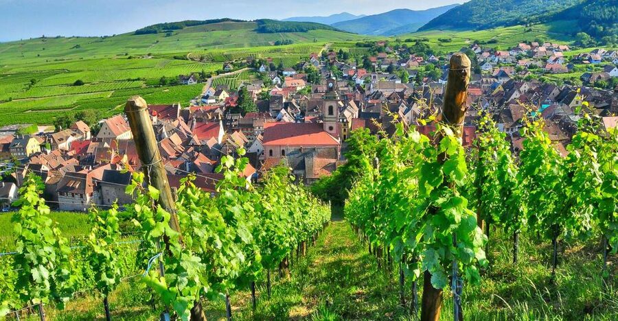 From Paris: Small-Group Champagne Day Trip with Six Tastings - Key points before you book