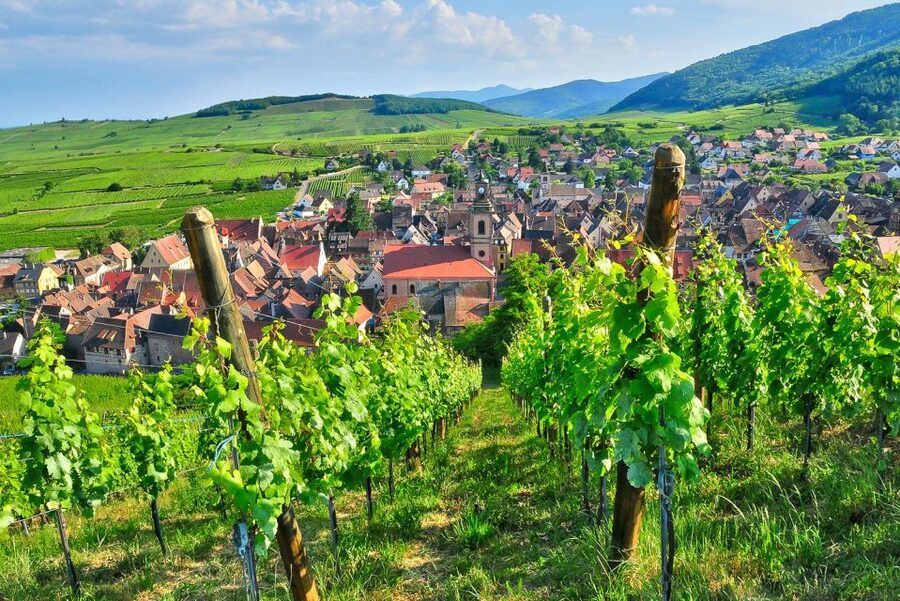 From Paris: Small-Group Champagne Day Trip with Six Tastings - The minibus and the rhythm of the day