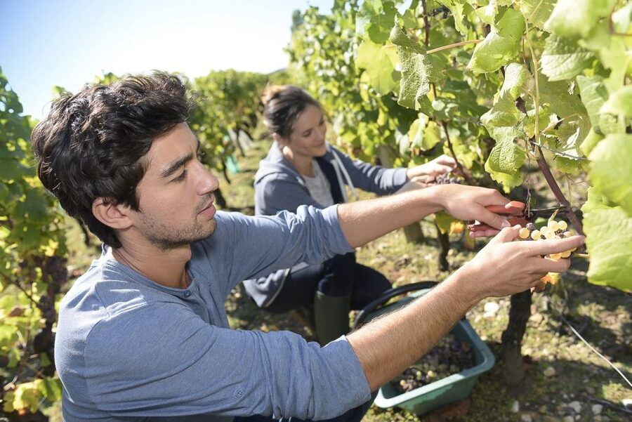 From Paris: Small-Group Champagne Day Trip with Six Tastings - Épernay offers the practical lunch break