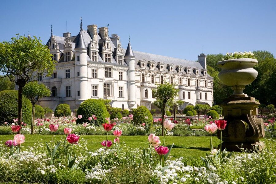From Paris: Small-Group Loire Valley Castles Full-Day Tour - The pace, driving time, and physical effort