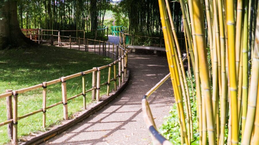 From Paris: Versailles and Giverny Full-Day Trip - The guide makes or breaks the day