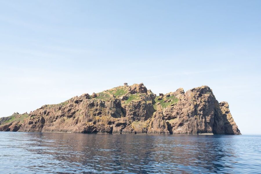 From Porto: Piana Creeks and Scandola Semi-Rigid Boat Tour - Who should book this boat trip
