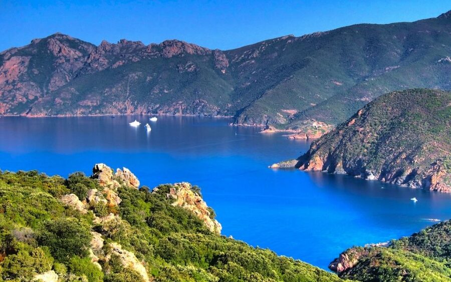 From Porto: Piana Creeks and Scandola Semi-Rigid Boat Tour - Scandola Nature Reserve brings a protected coastline