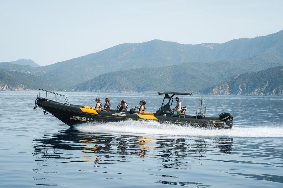 From Porto: Piana Creeks and Scandola Semi-Rigid Boat Tour - Wildlife is possible, not promised