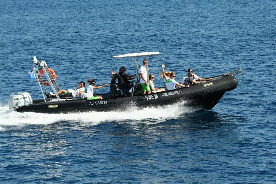 From Porto: Scandola and Calanche de Piana Boat Tour - The protected waters of Scandola