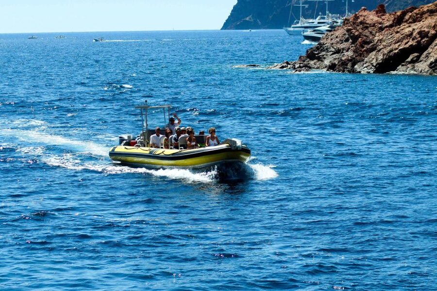 From Porto: Scandola and Calanche de Piana Boat Tour - How the price compares with the experience